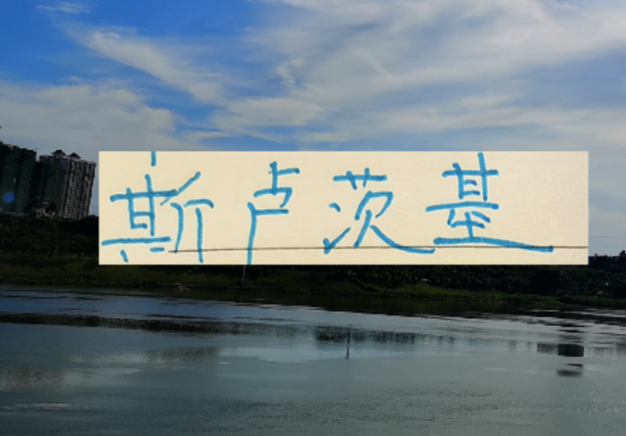 不怕盖伊不进球 ！ 就怕这哥们在申花发飙！进塞内加尔国家队|上海申花|鲁迪·盖伊|热身赛|上海申花足球俱乐部|鲁迪-盖伊_新浪体育_新浪新闻